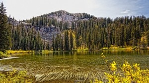 Lago, montañas, bosque, otoño, paisaje