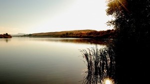 lake, reeds, sunbeams, trees, shores - wallpapers, picture