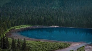 lake, forest, shore, slope, landscape - wallpapers, picture