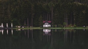 lake, forest, house, trees, shore