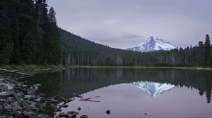 lake, forest, mountain, peak, landscape