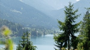 lake, forest, mountains, trees, shore