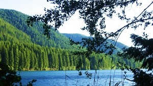 lake, forest, mountains, branches, landscape