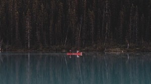 lago, bosque, barco, árboles, reflejo