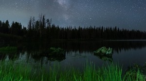 lago, noche, cielo estrellado, hierba, árboles