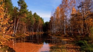 lake, autumn, trees, leaf fall, water, surface, sky, clear, october, puddle