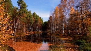 sjö, höst, träd, lövfall, vatten, yta, himmel, klar, oktober, pöl