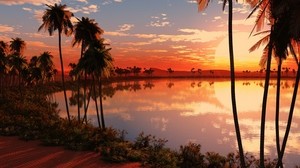 lake, palm trees, sunset, sun, evening, orange, horizon