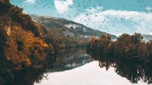 lake, birds, trees, flight, reflection, autumn