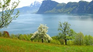 lake, grass, mountains, nature