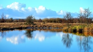 lake, grass, reflection