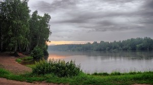 lake, morning, cloudy, trees, shore, nettle - wallpapers, picture