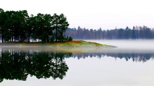 lago, mañana, niebla, árboles, islote, paisaje