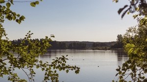 lago, rami, alberi, foglie, cornice