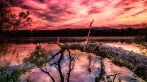 lake, sunset, trees, hdr - wallpapers, picture