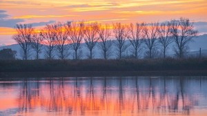 湖、夕日、木、反射