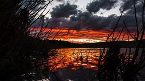 sjö, solnedgång, himmel, gräs, Yellowstone nationalpark, USA - wallpapers, picture