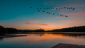 lago, puesta de sol, pájaros, vuelo, horizonte