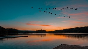 lake, sunset, birds, flight, horizon