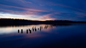 lake, sunset, silhouettes, birds, horizon, trees