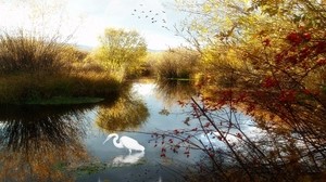 lake, crane, ghost, trees, birds - wallpapers, picture