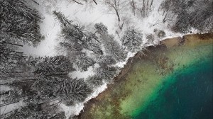 lake, winter, snow, top view, trees