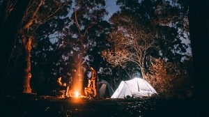 tent, starry sky, campfire, camping, recreation, trees, forest