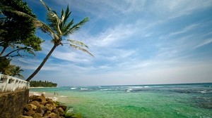 palm, coast, stones, resort, moss, sea, water, transparent, recreation, people - wallpapers, picture
