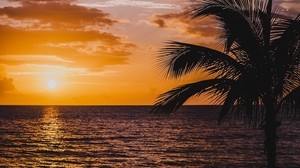 palm, sea, sunset, surf, horizon, sky, clouds