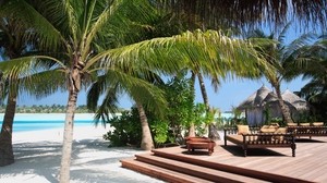 palm, beach, sand, tropics, sofas, steps