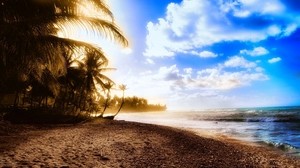 palm trees, shore, beach, sun, light, sky, clouds, heat