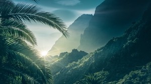 palm trees, mountains, sunlight, sky