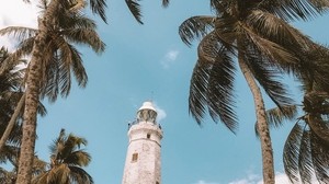palm trees, lighthouse, sky, tropics, wind
