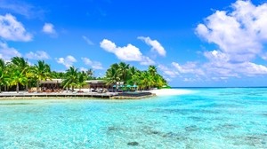 palm trees, the ocean, the beach, the rest, paradise - wallpapers, picture