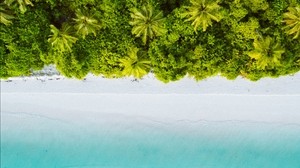 palme, oceano, vista dall’alto, maldive, tropici, spiaggia