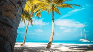 palm trees, beach, sand, tropics, paradise - wallpapers, picture