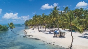 palm trees, tropics, paradise, the rest, the ocean, Islamorada, Florida, USA