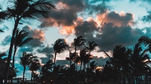 palm trees, wind, clouds, tropics, punta cana, dominican republic