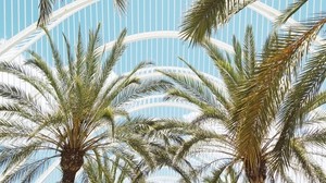 palm trees, branches, roof, architecture