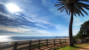 palm trees, the fence, the fence, the wind, shore, clouds, cirrus, light - wallpapers, picture