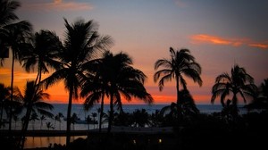 palm trees, sunset, hawaii, ocean, horizon