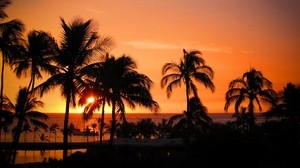 palme, tramonto, hawaii, tropici, oceano, orizzonte