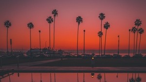 palm trees, sunset, san diego, usa, reflection