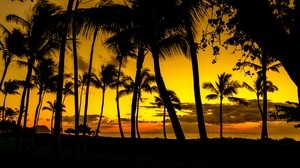 palmuja, auringonlasku, tropiikit, ranta, pimeä