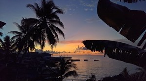 palme, tramonto, tropici, orizzonte, oceano - wallpapers, picture