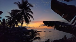 palm trees, sunset, tropics, horizon, ocean