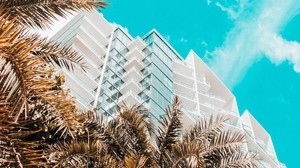 palm trees, building, tropics, sky, bottom view - wallpapers, picture