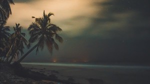 palm trees, starry sky, shore, night, tropics