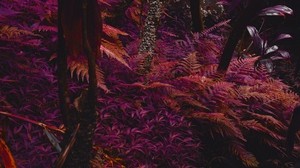 fern, plants, jungle, tropical, dense, purple