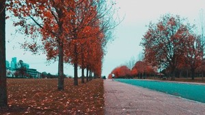 公园，胡同，对比，秋天，photoshop - wallpapers, picture